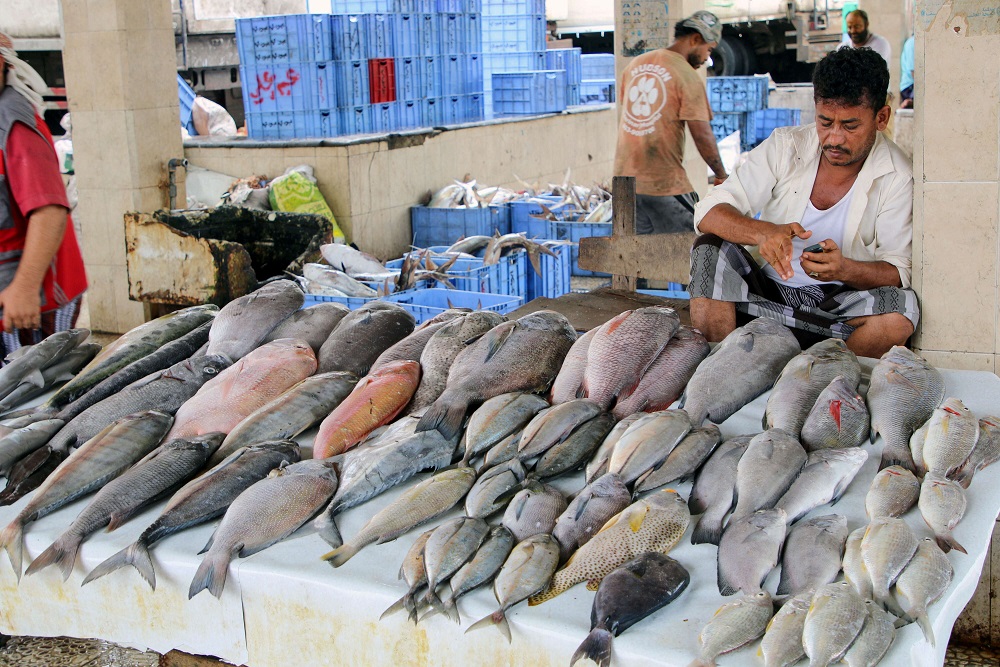 الصياد والبائع والمستهلك يعاني في اليمن بسبب الحرب والتدهور الاقتصادي