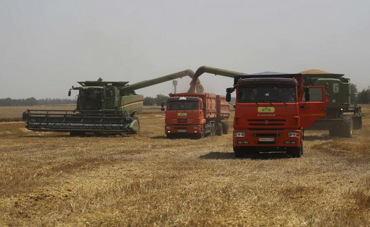 50 دولة تعتمد على روسيا وأوكرانيا في 30 بالمئة من إمدادات القمح