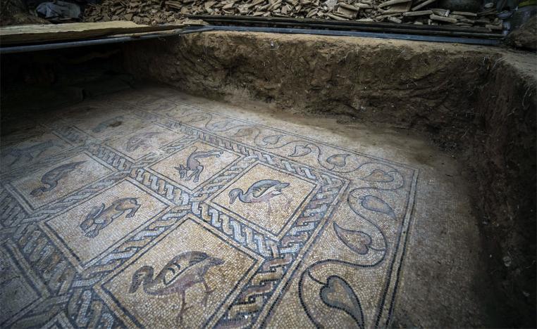 The patch of land holding the mosaic is about 500 square meters