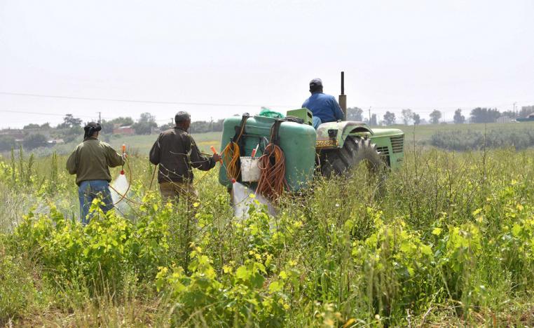 الجزائر تتحمل المسؤولية في دخول مبيدات زراعية شديدة السُمية كونها الجهة الناظمة للتصدير والتوريد