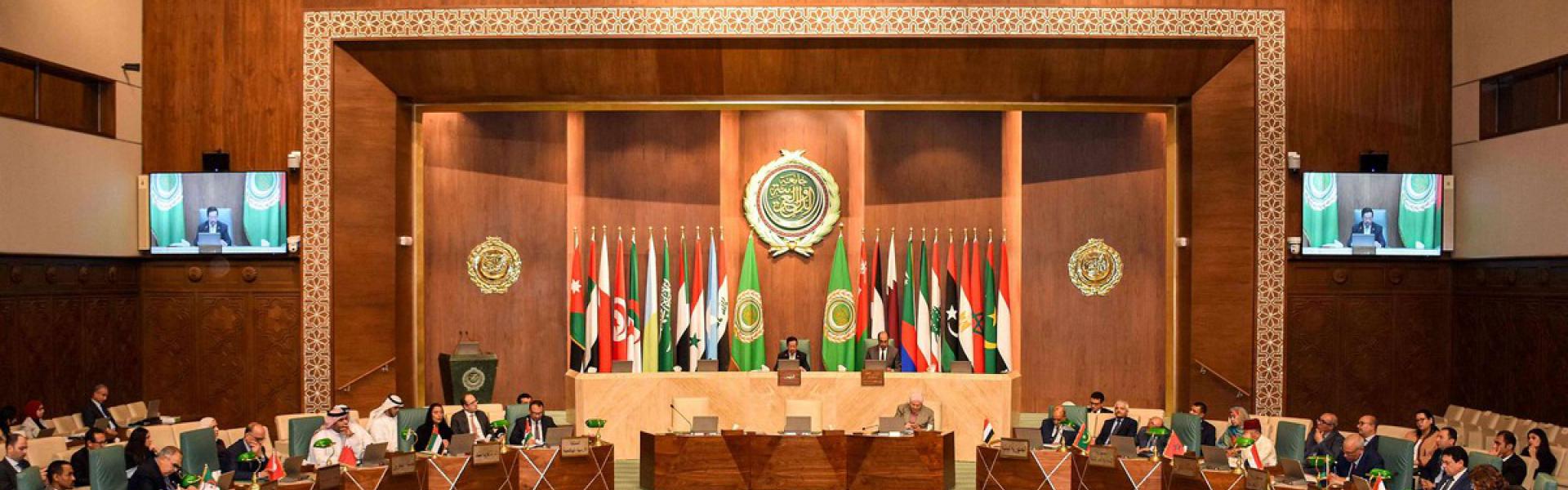 الجامعة العربية ستَبقى بعيدة عن سيادة الدول العربية الأعضاء على أراضيها 