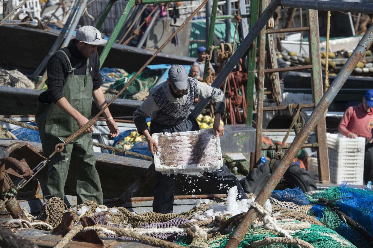 المغرب يبحث عن شركاء جديد لاستغلال ثروته السمكية الهامة 