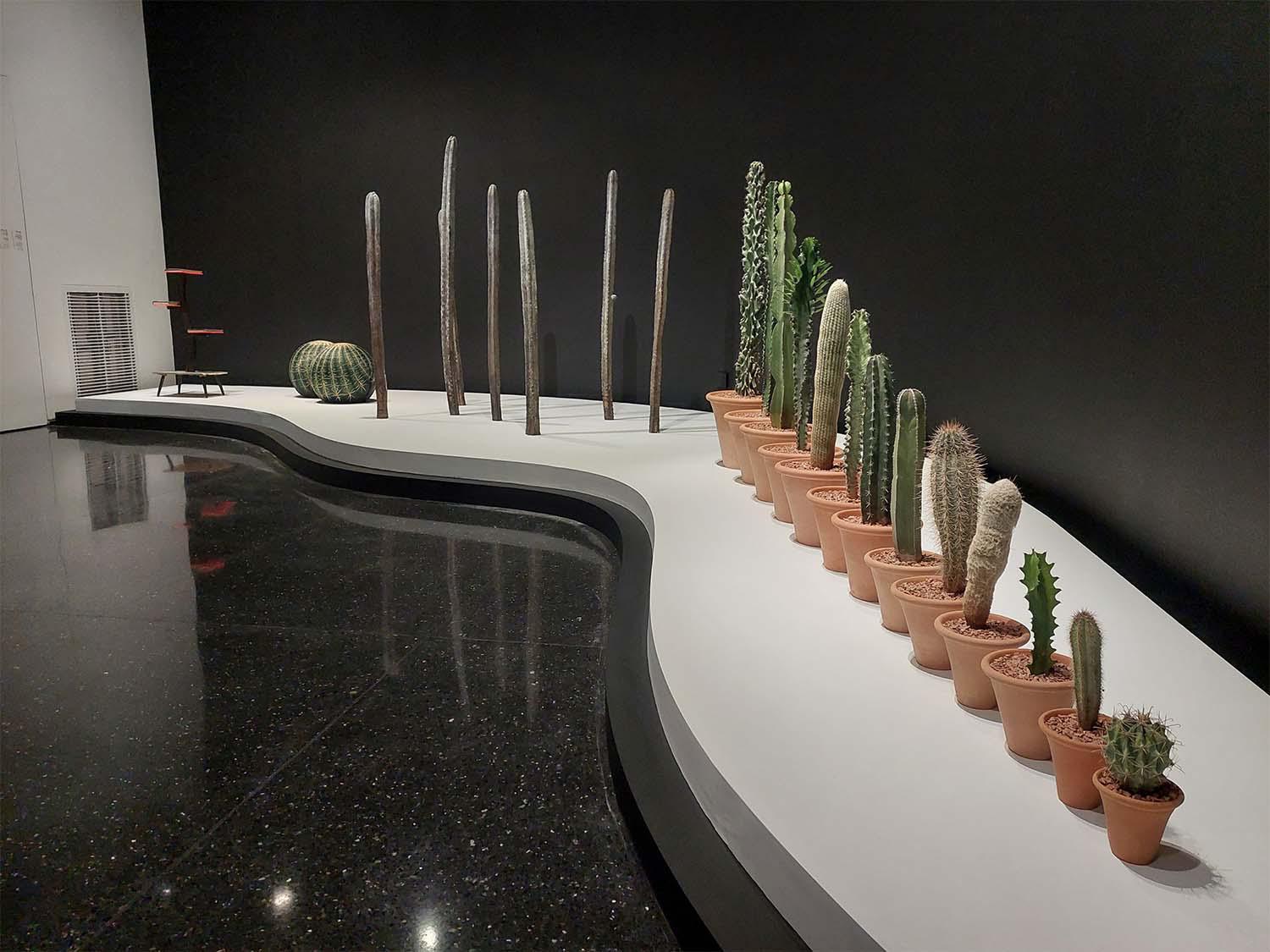Cacti in ascendance next to the lightly disordered artwork of German artist Katinka Bock
