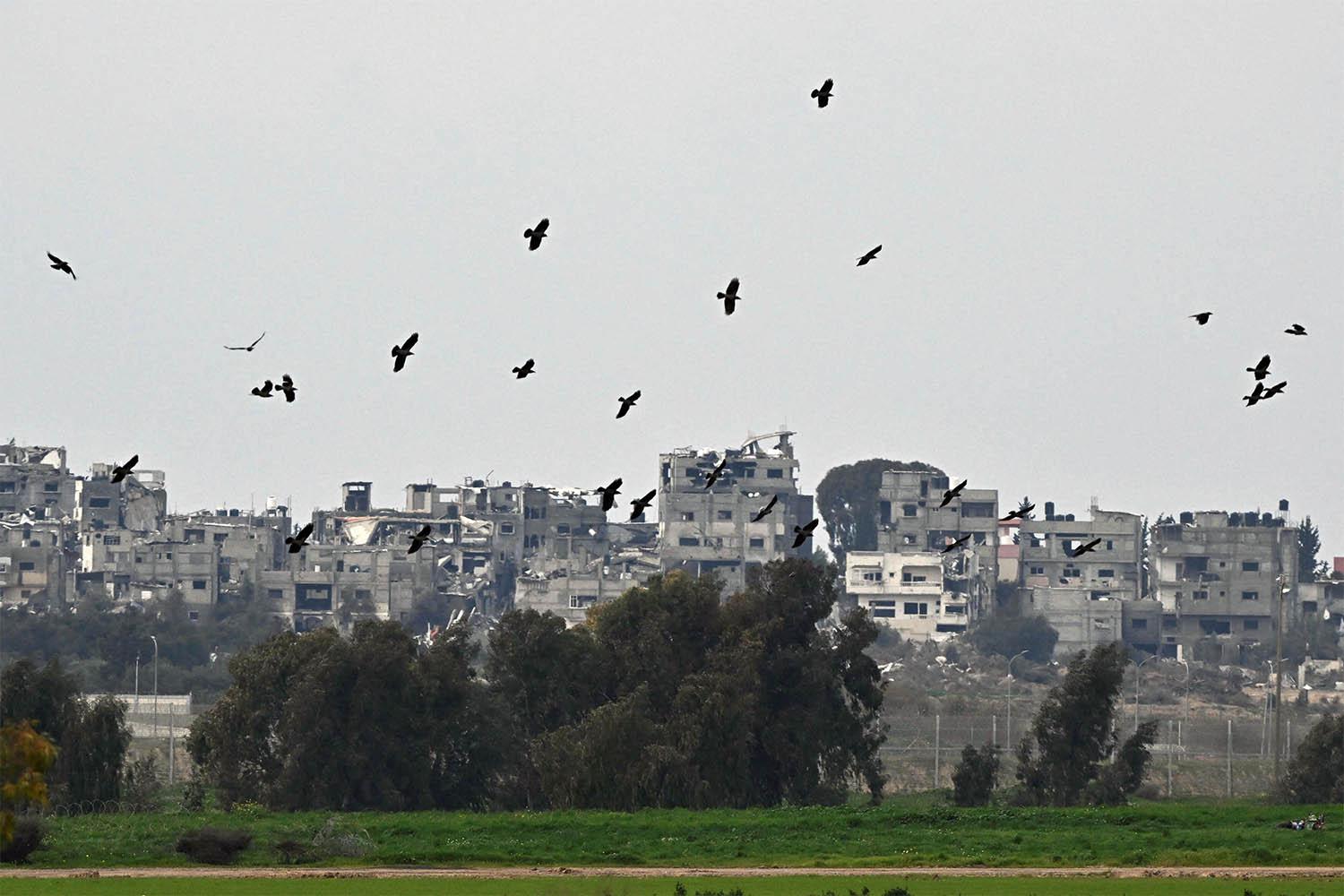 A flock of birds flies near bombed-out buildings in the central Gaza Strip