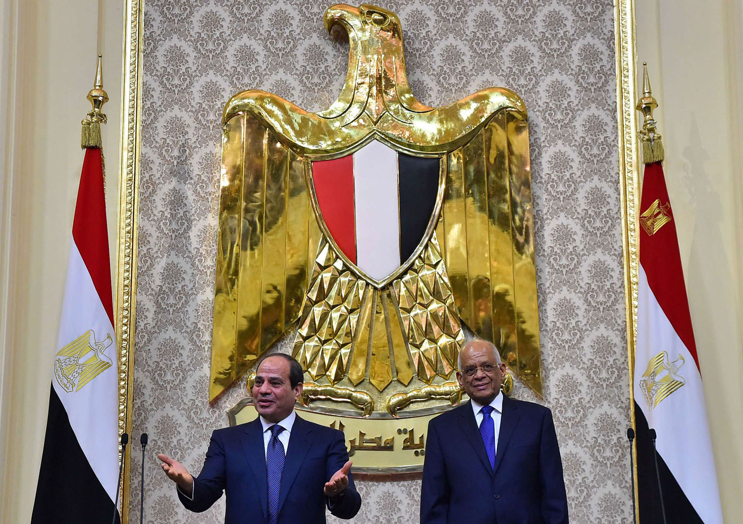 السيسي 'رئيسا لكل المصريين'