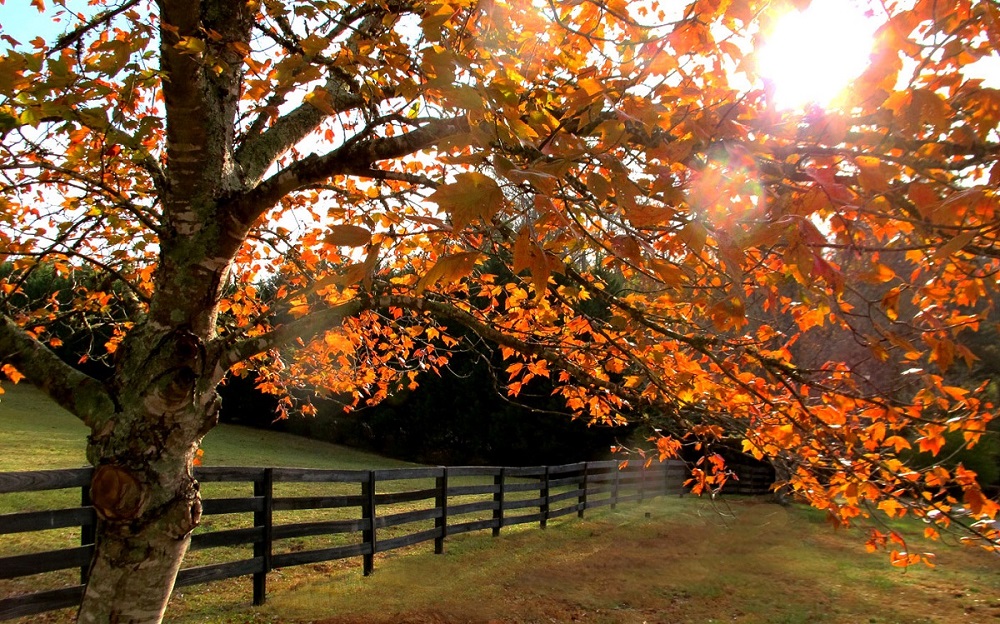 عزيزة الطائي تبحث عن الروح في "خذ بيدي فقد رحل الخريف" 