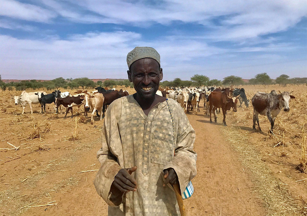 A Fulani cattle herder walks with his cows outside the city of Tillaberi