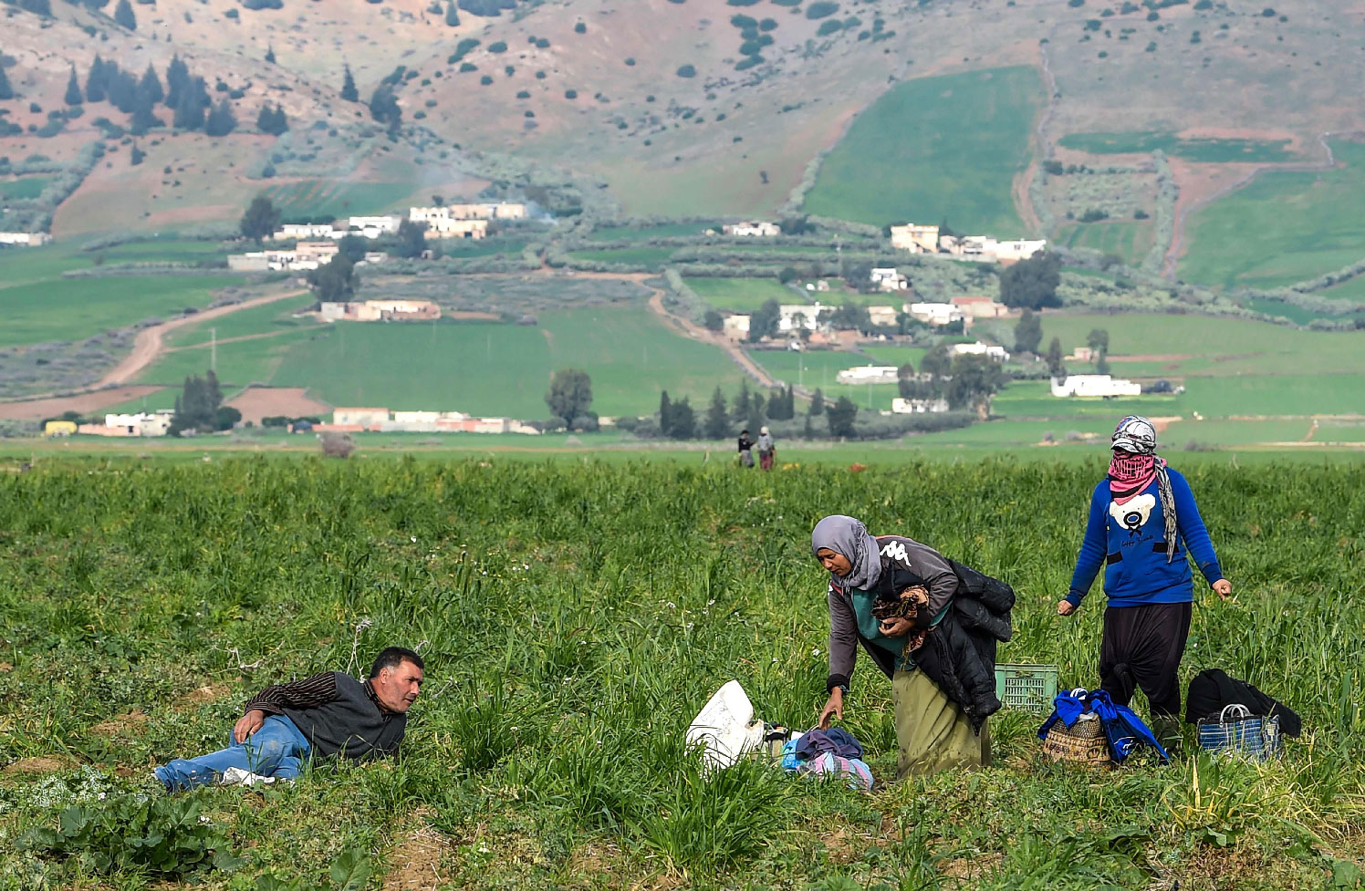 A man watches Tunisian women working in a pea field on December 20, 2018 in Tunisia's northwestern province of Jendouba, about 185 kilometres west of the capital Tunis.
