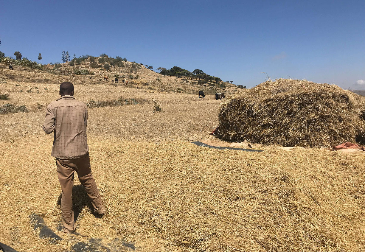 An Ethiopian farmer works on his land near Mekelle, Tigray region of northern Ethiopia December 10, 2018.