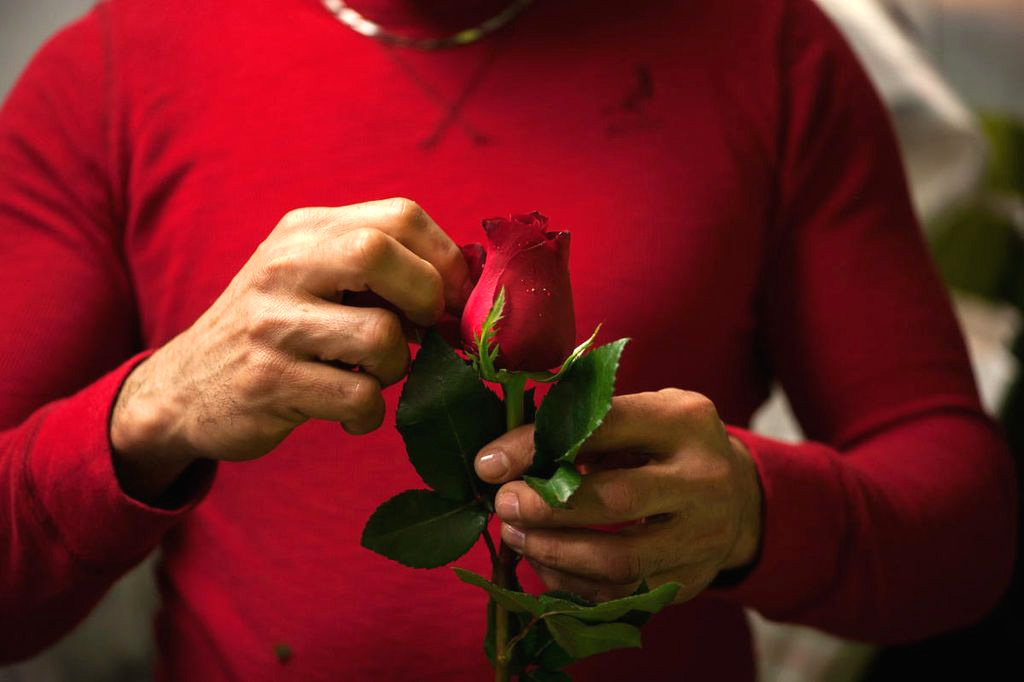 دلالات إيروسية