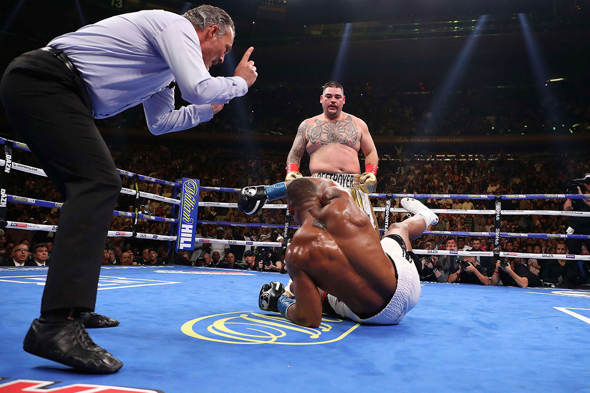 ضربة قاضية لشهرة جوشوا