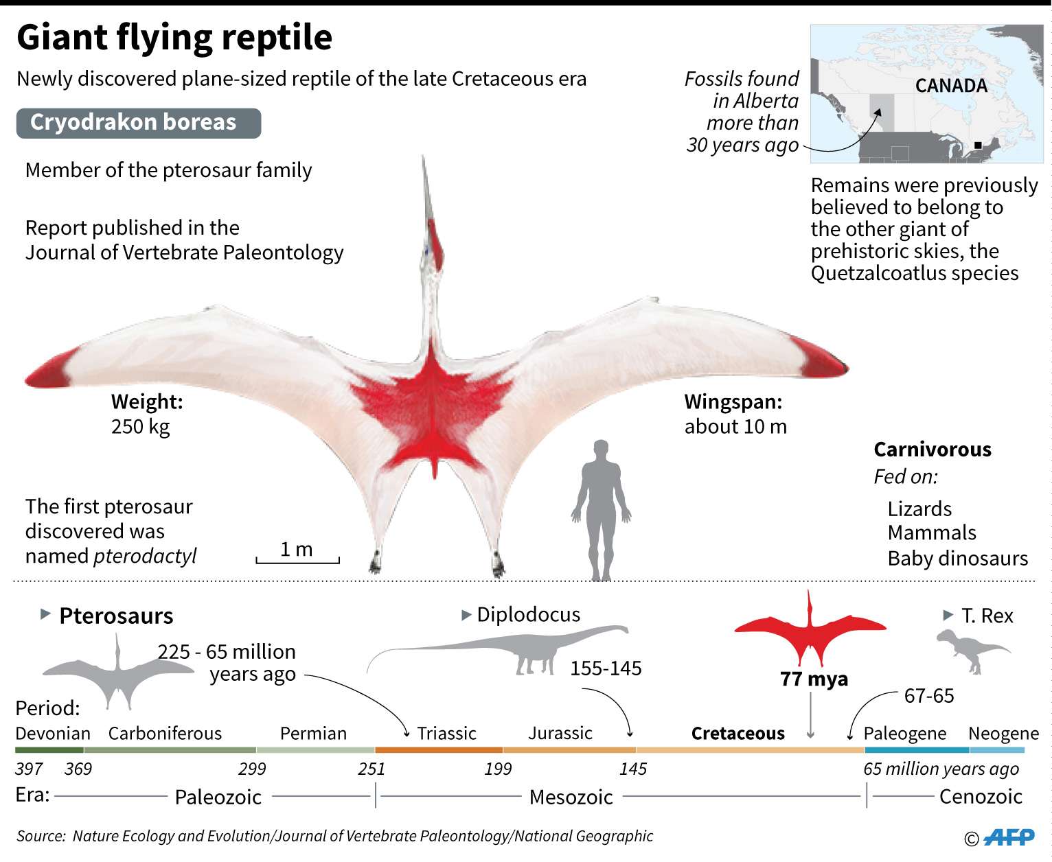 'كريودراكون بورياس'
