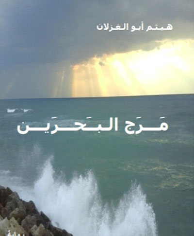 The Palestinian Novel