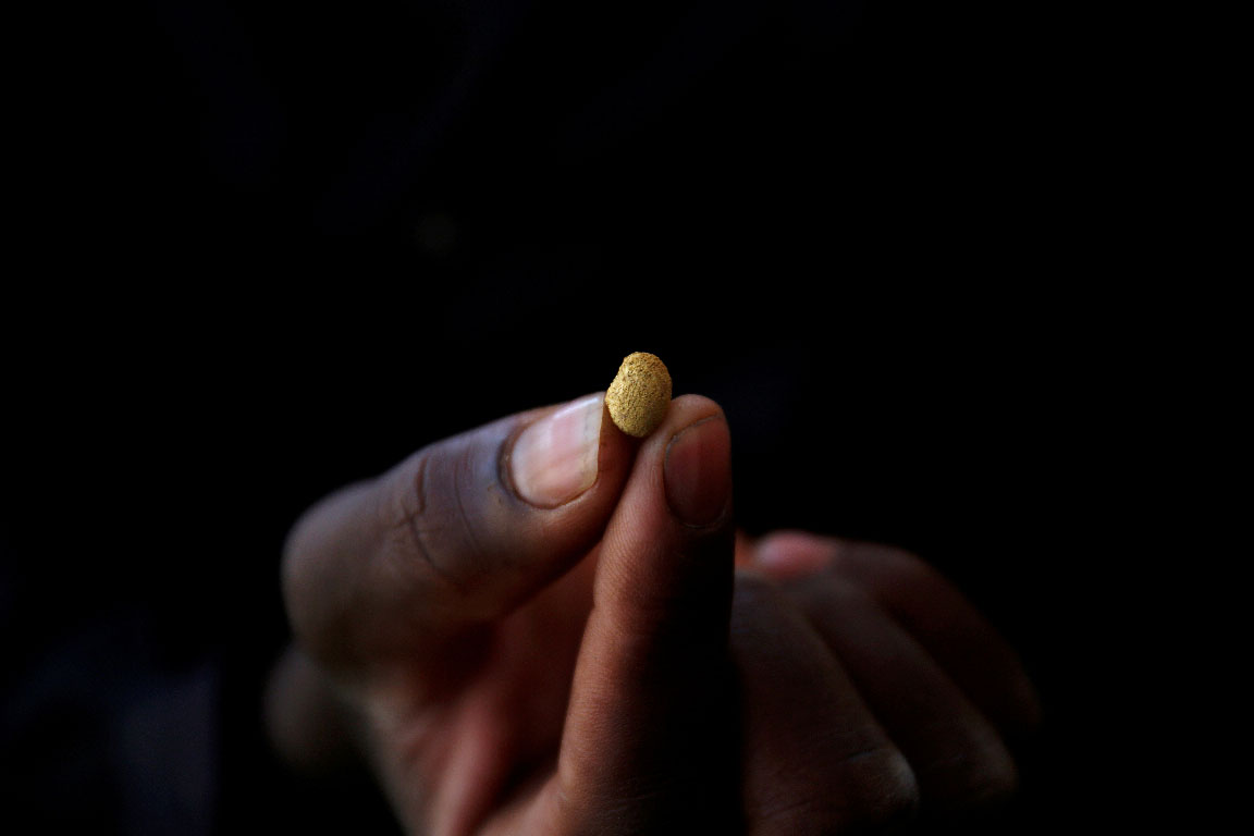 An artisanal gold miner holds a gold nugget at an unlicensed mine in Gaoua, Burkina Faso