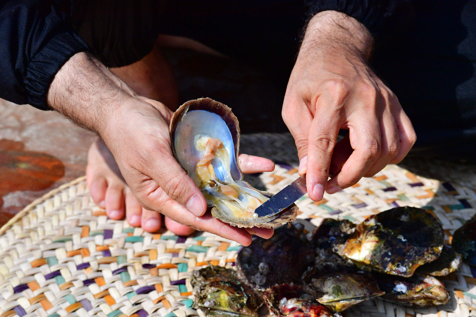 Abdullah al-Suwaidi displays a pearl found in an oyster at his pearl farm