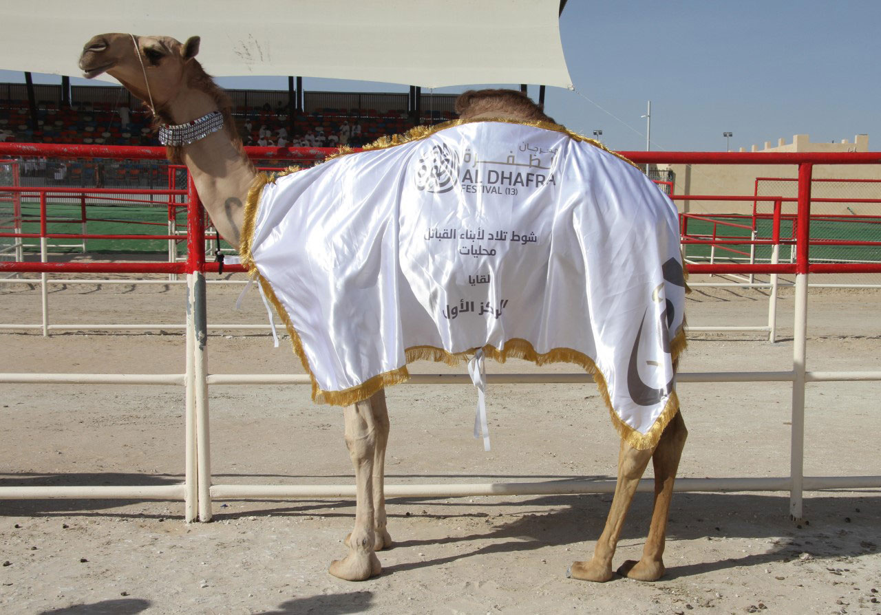 مهرجان الظفرة