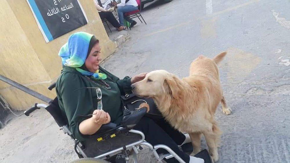 اليد الأولى