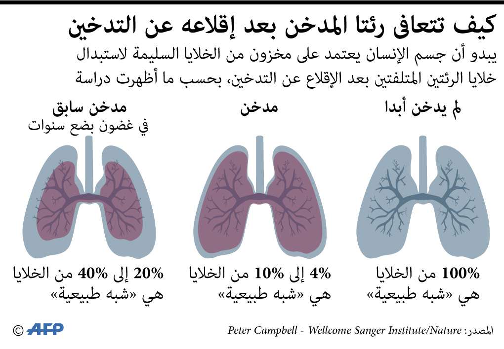 الاقلاع عن التدخين