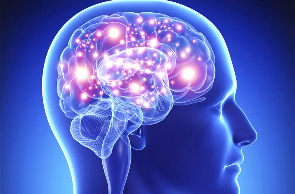 العقل البشري