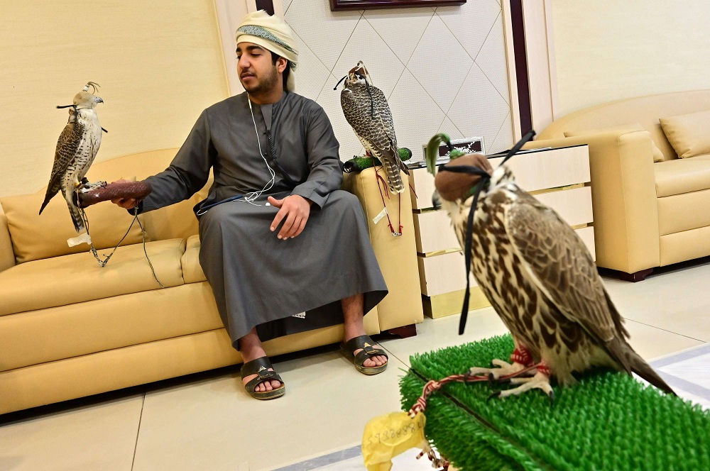 الصقارة