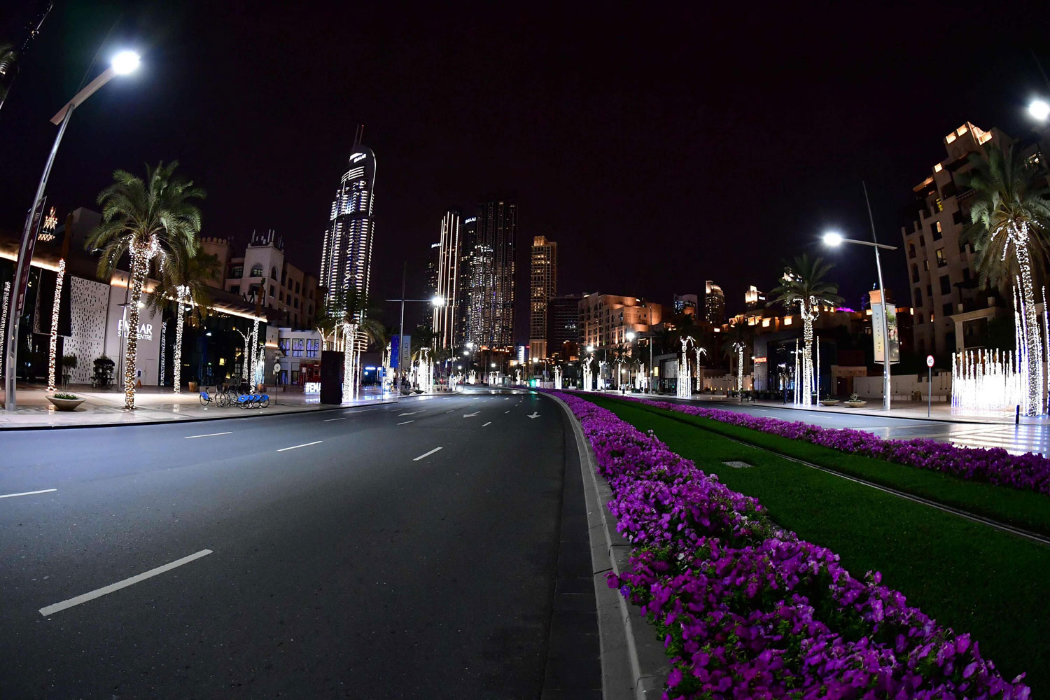 شوارع الامارات