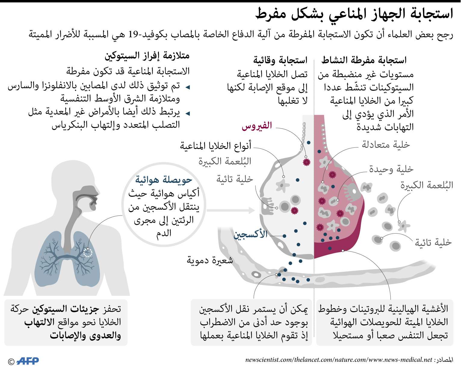 عاصفة السيتكوين