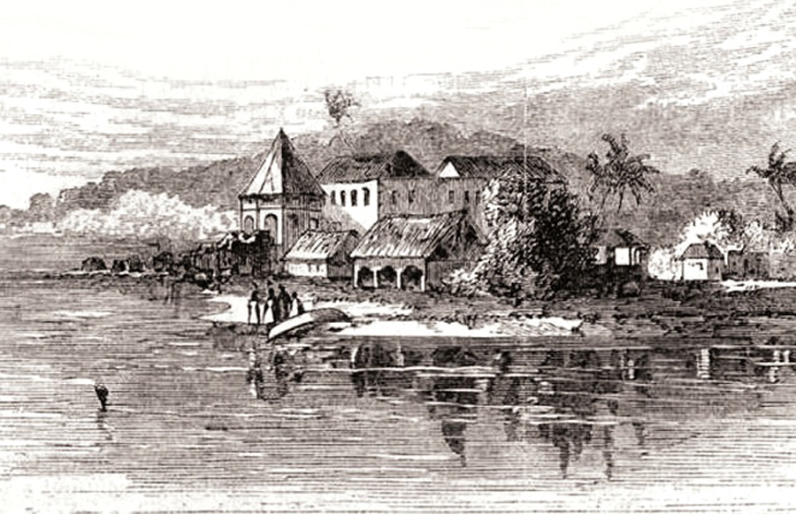 زوال الأمية