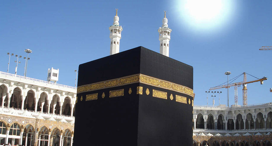 أجهزة الدولة لدينا مشغولة بمكافحة الوباء وكذلك بقية الدول الإسلامية