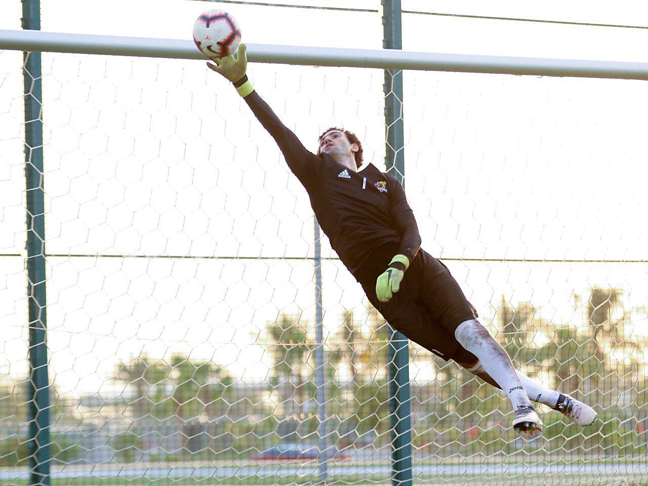محمد عواد 