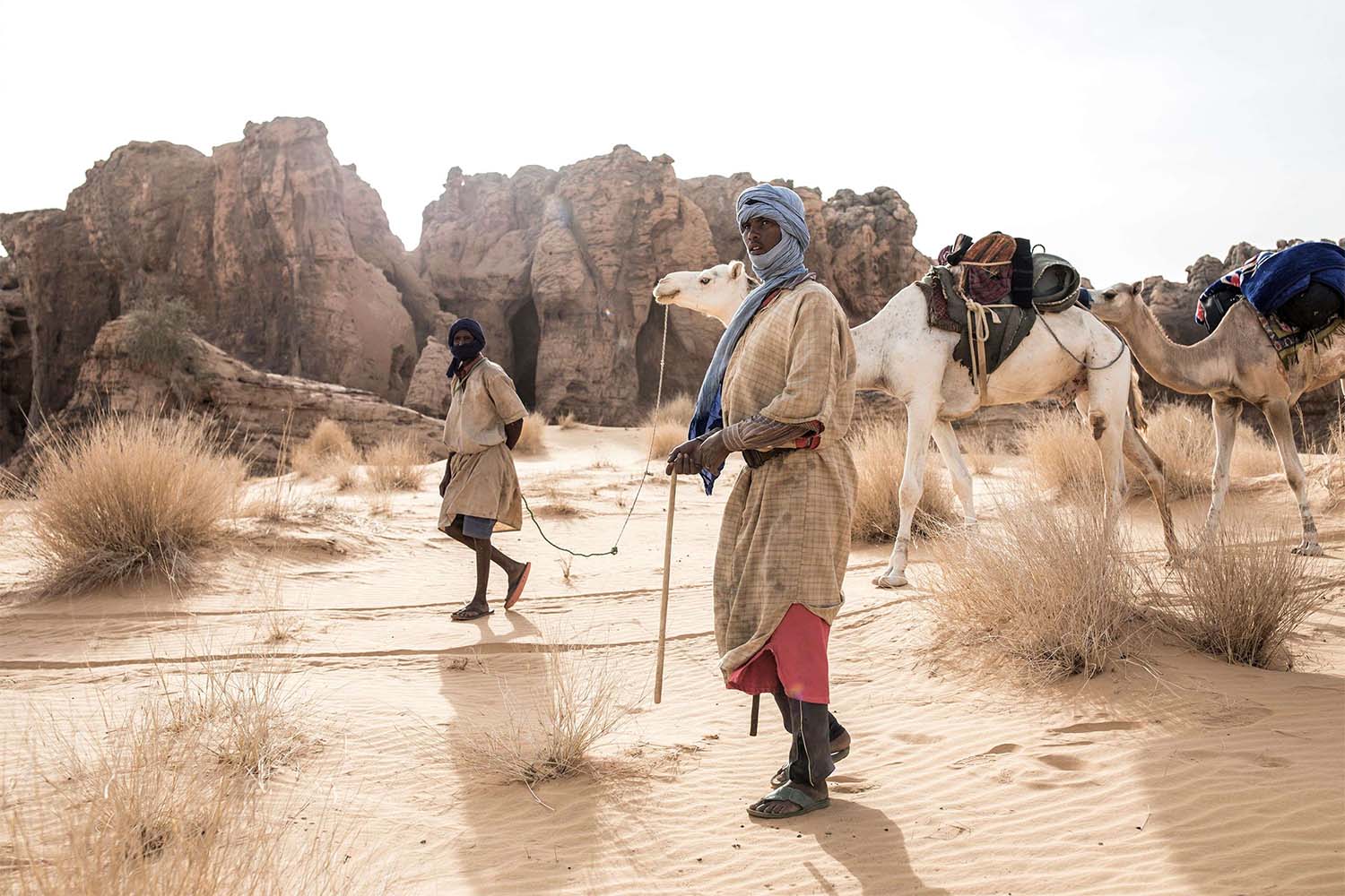 Tribesmen are seen leading a caravan from Tichitt to Aratane in Mauritania