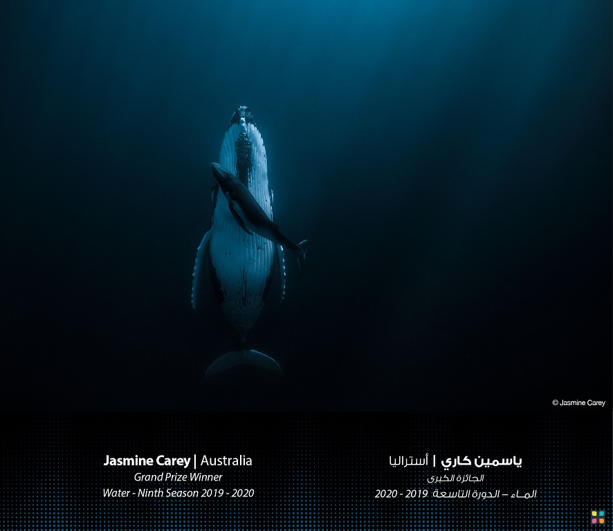 صورة