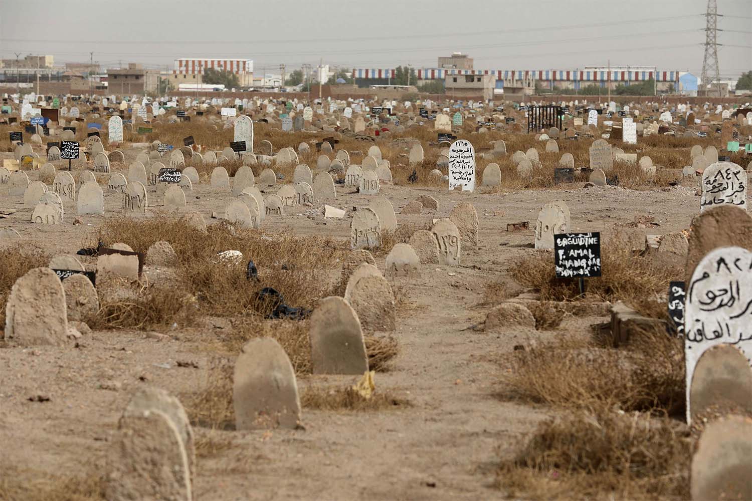 A mass grave of conscripts allegedly killed after trying to flee a military camp in 1998 was found in mid-June