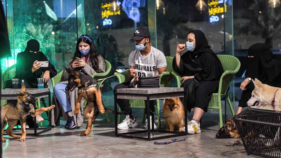 'ذي باركينغ لوت' 