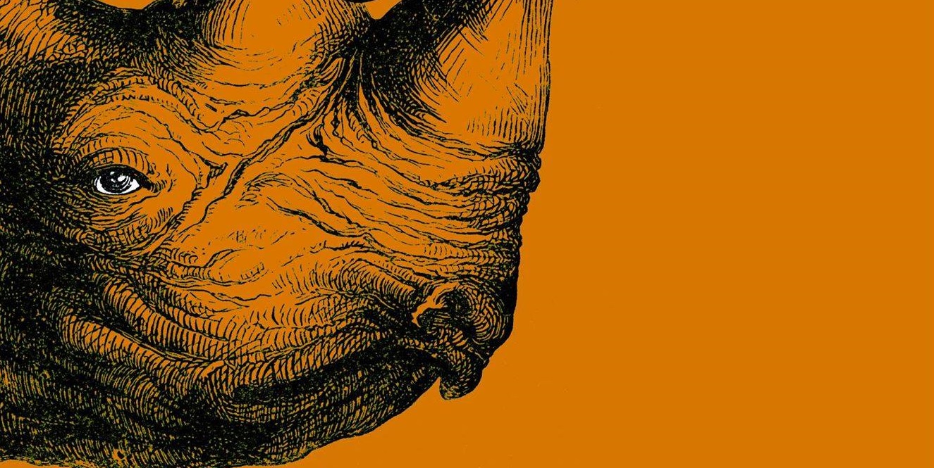 غلاف كتاب 'على قَرن الكركدن' 