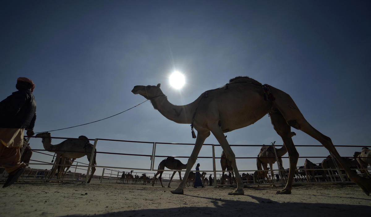 الحفاظ على بيئة الإمارة