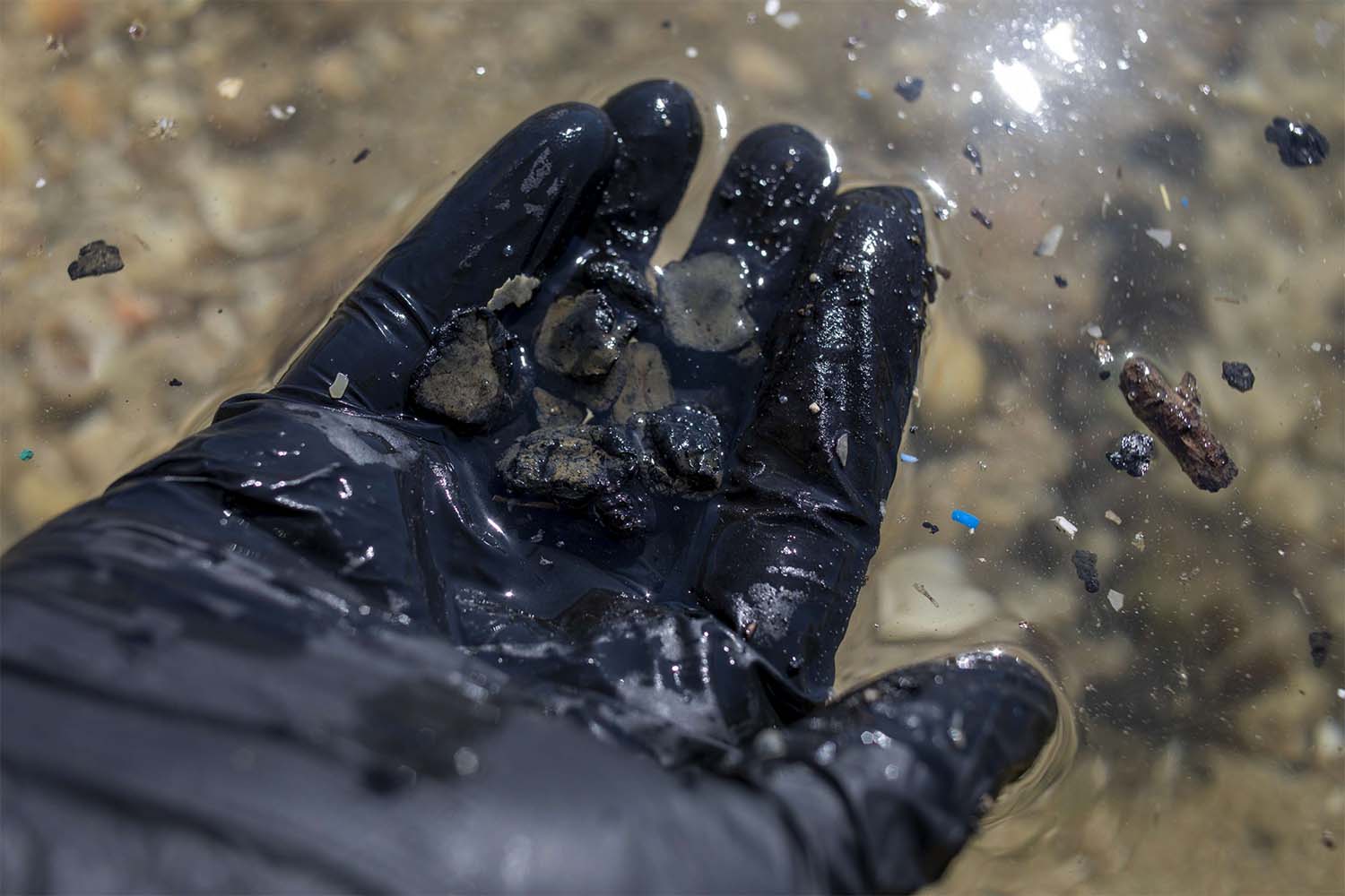 The ecological disaster has caused extensive damage and forced the closure of beaches and a ban on the sale of seafood from the Mediterranean