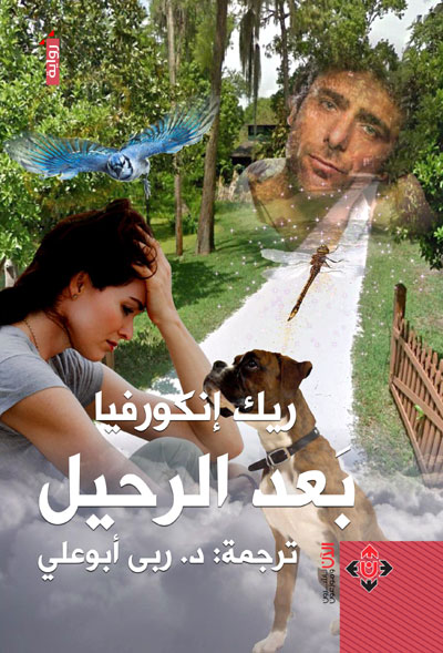 translation