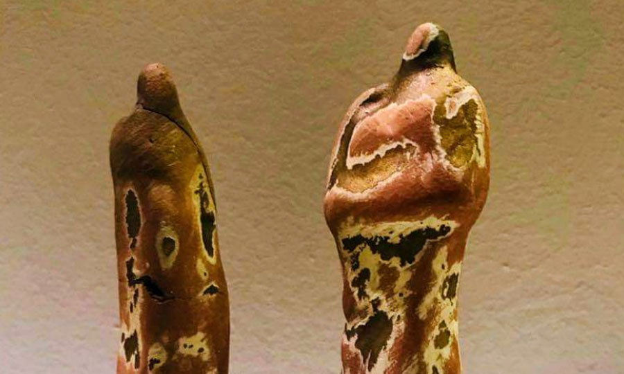 كفاءات عربية