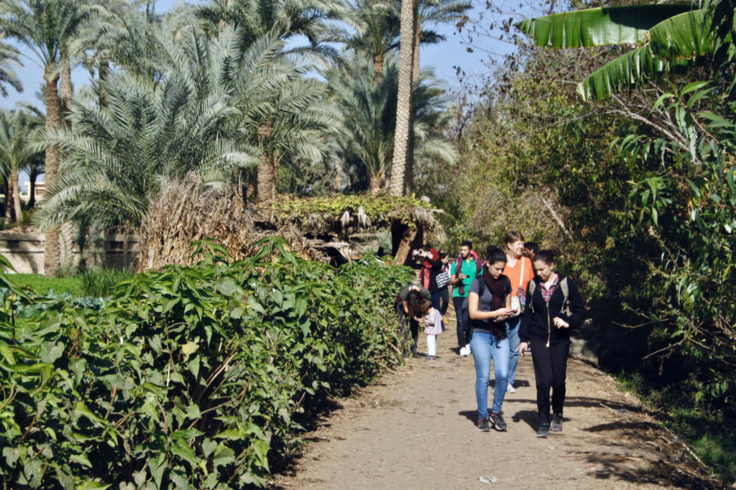 Badrashin is a rural area with unique history (www.visitbadrashin.com)