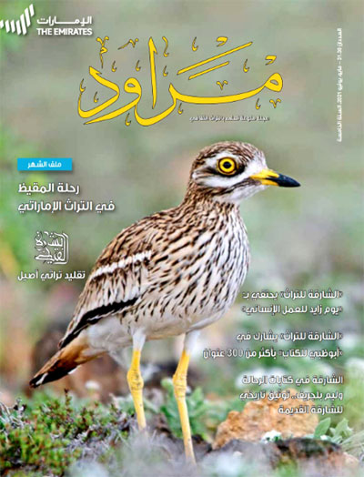 magazine