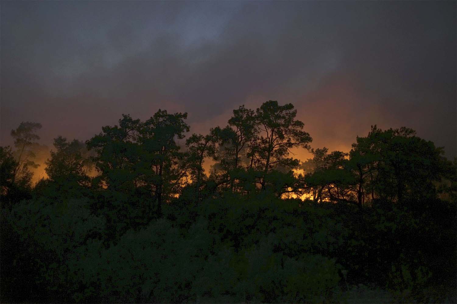 several homes, businesses, crops and vehicles were damaged by the wildfire