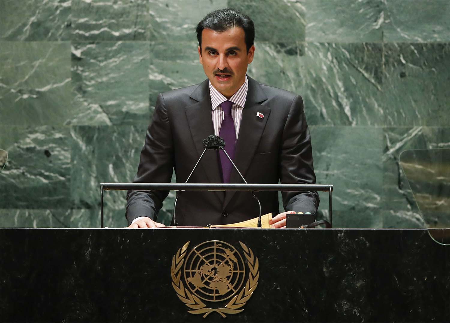 Sheikh Tamim urged against repeating past mistakes in Afghanistan