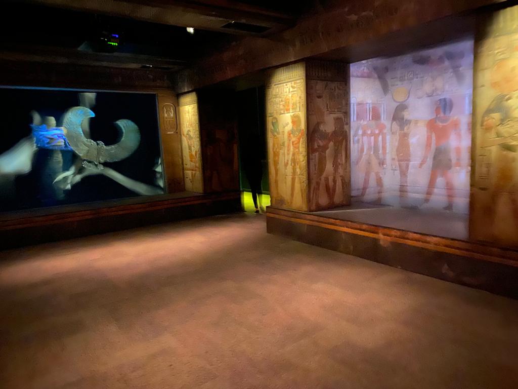 معرض