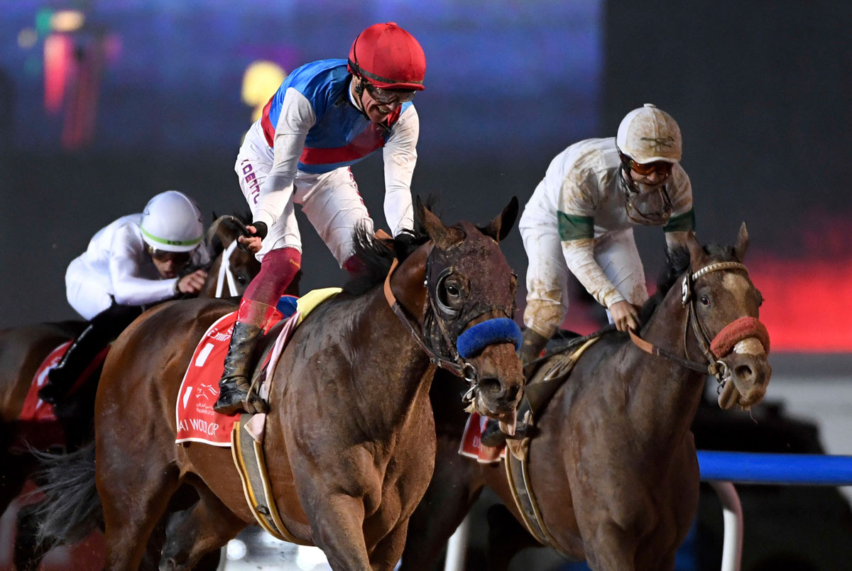 'كونتري غرامر' يخالف كل التوقعات ويعانق اللقب