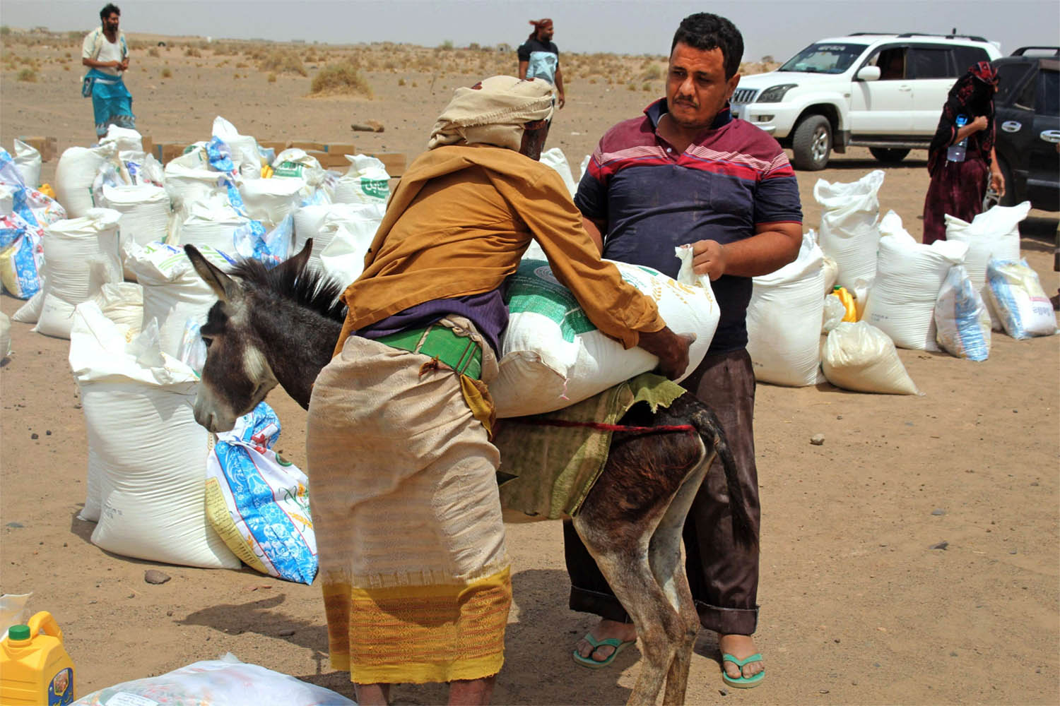 Countries in the Middle East and North Africa import more than 90% of the food they consume