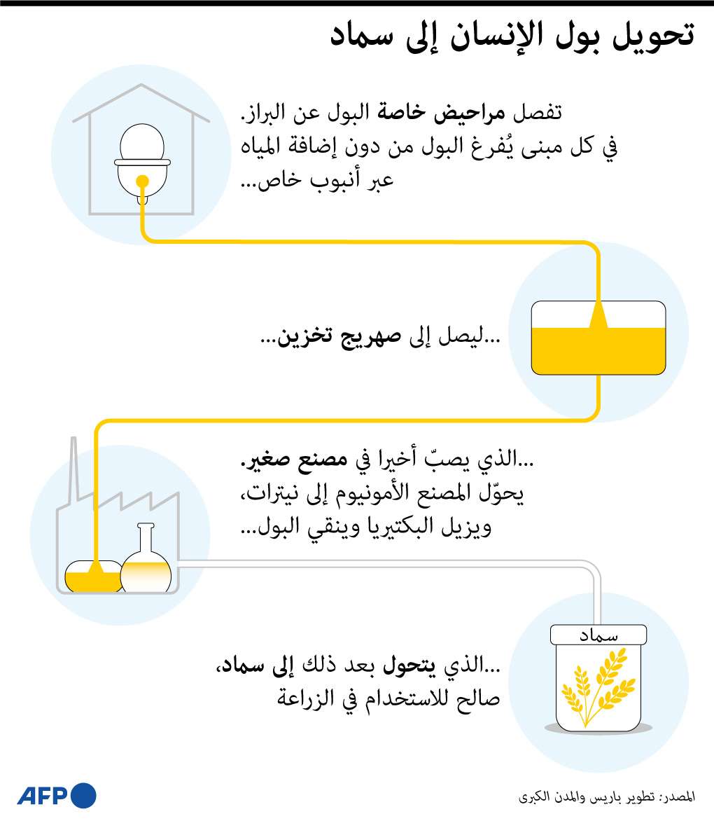 بول