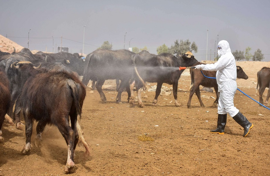 العراق