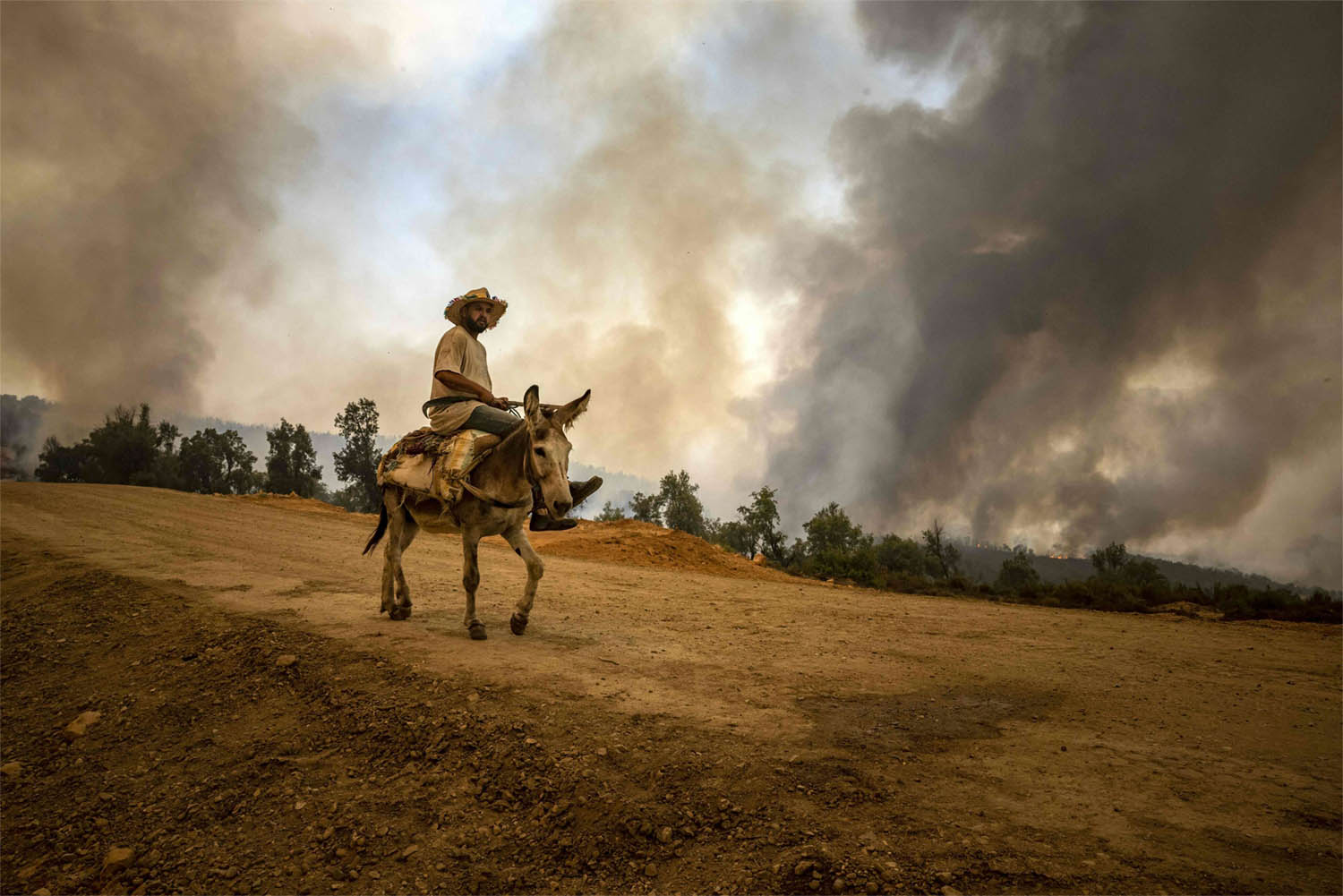 Climate change is taking its toll on Morocco's forests