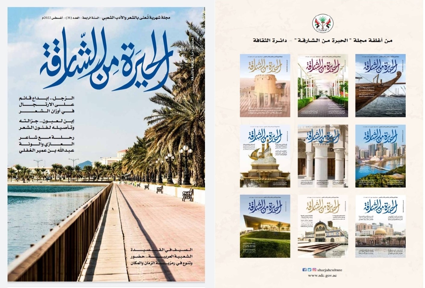 الحيرة من الشارقة