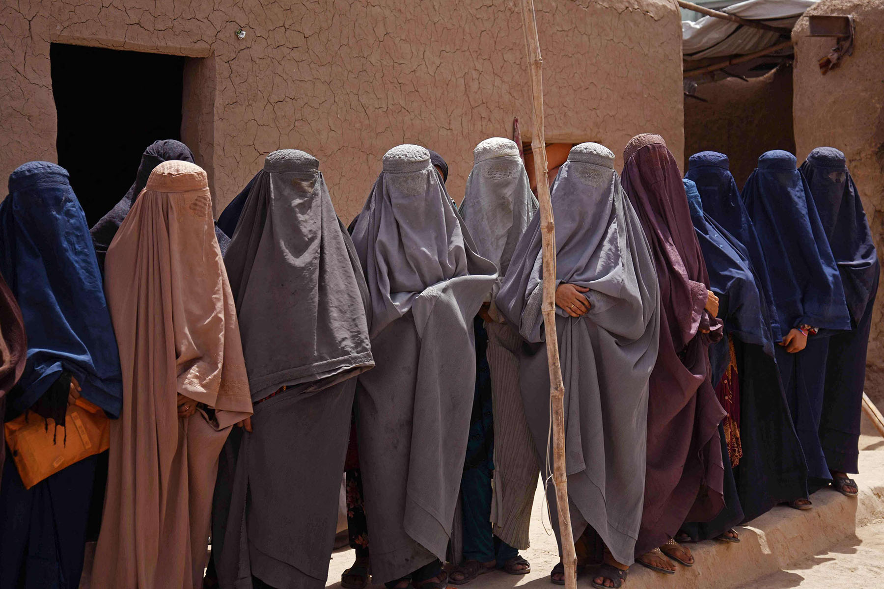 صورة النساء التي تريدها طالبان